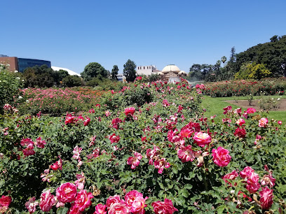 Exposition Park Rose Garden