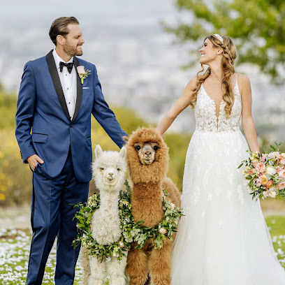 The I Do Wedding Photography & Videography