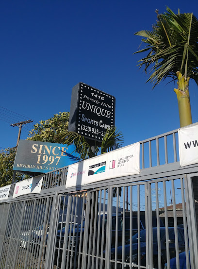 Beverly Hills Unique Sports Cars