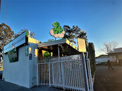 Puff Los Angeles Dispensary