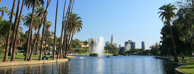 Michel Babajanian, MD, FACS