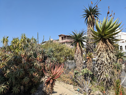 UCLA Mathias Botanical Garden