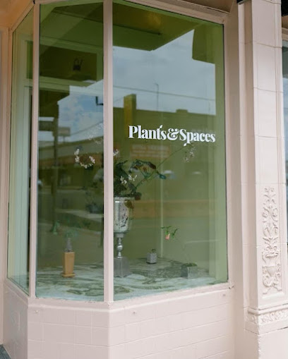 Plants & Spaces LA