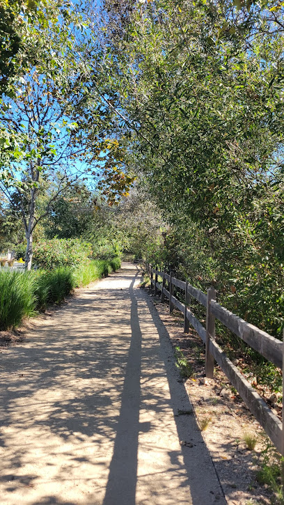 Bluff Creek Trail
