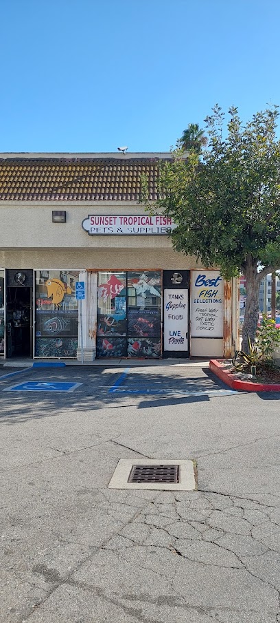 Sunset Pet & Supplies