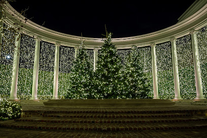 LA Christmas Light Installers