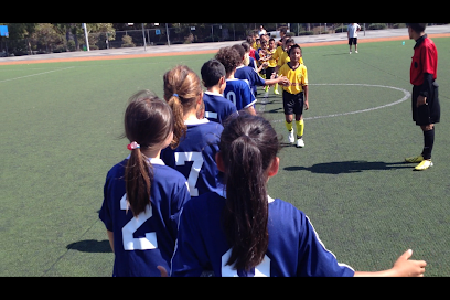 Los Angeles Soccer Association