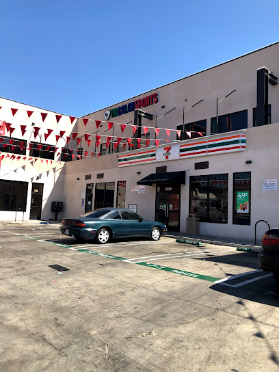 Tricolor Soccer League