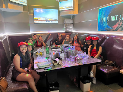 Palm Tree Karaoke / 棕榈樹 KTV